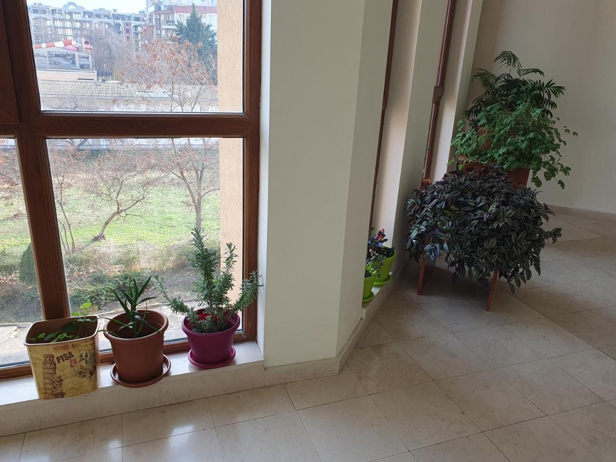 סאני ביץ' Apartment Ashton Hall - Sonnenstrand - Ost מראה חיצוני תמונה